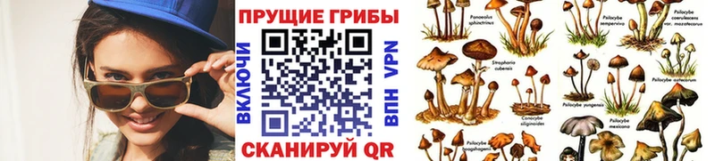 Псилоцибиновые грибы мицелий  Канаш 